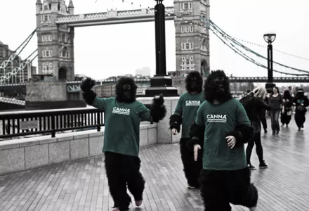 Gorilla Run London