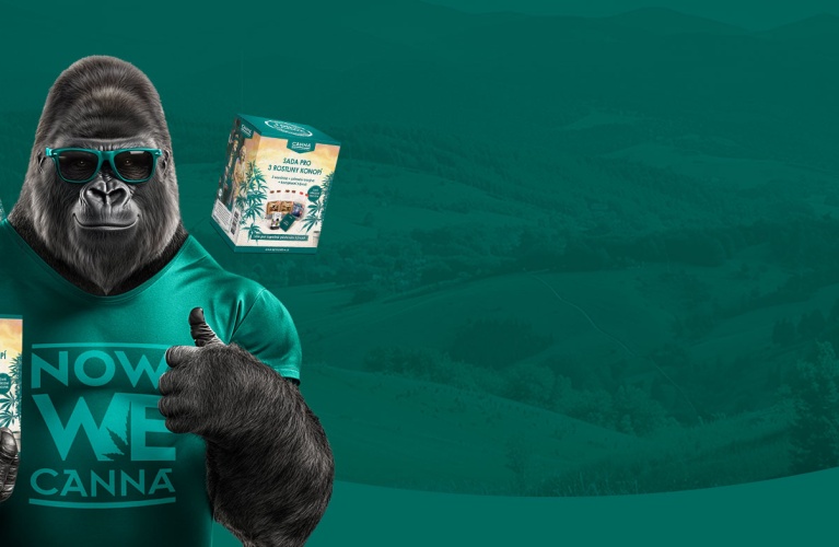 Nejvýhodnější sada pro začínající pěstitele