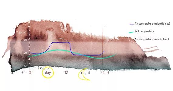 Root zone temperature and plant health