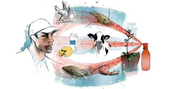 Boj proti škůdcům a chorobám rostlin – biologická vs. chemická cesta