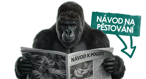 NÁVOD NA PĚSTOVÁNÍ