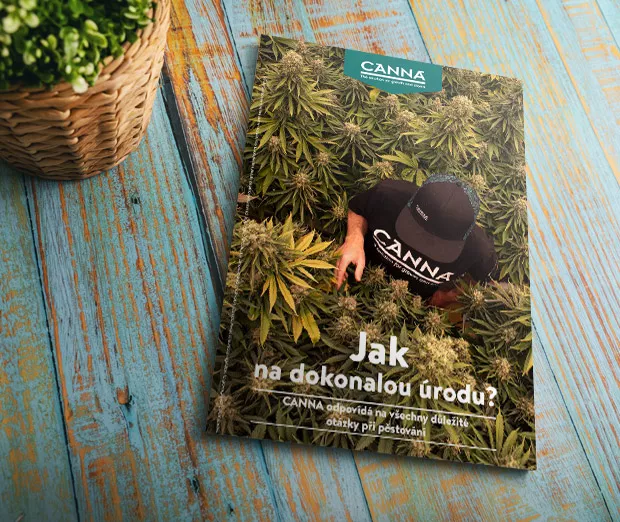 CANNA grow-how pro dokonalou úrodu