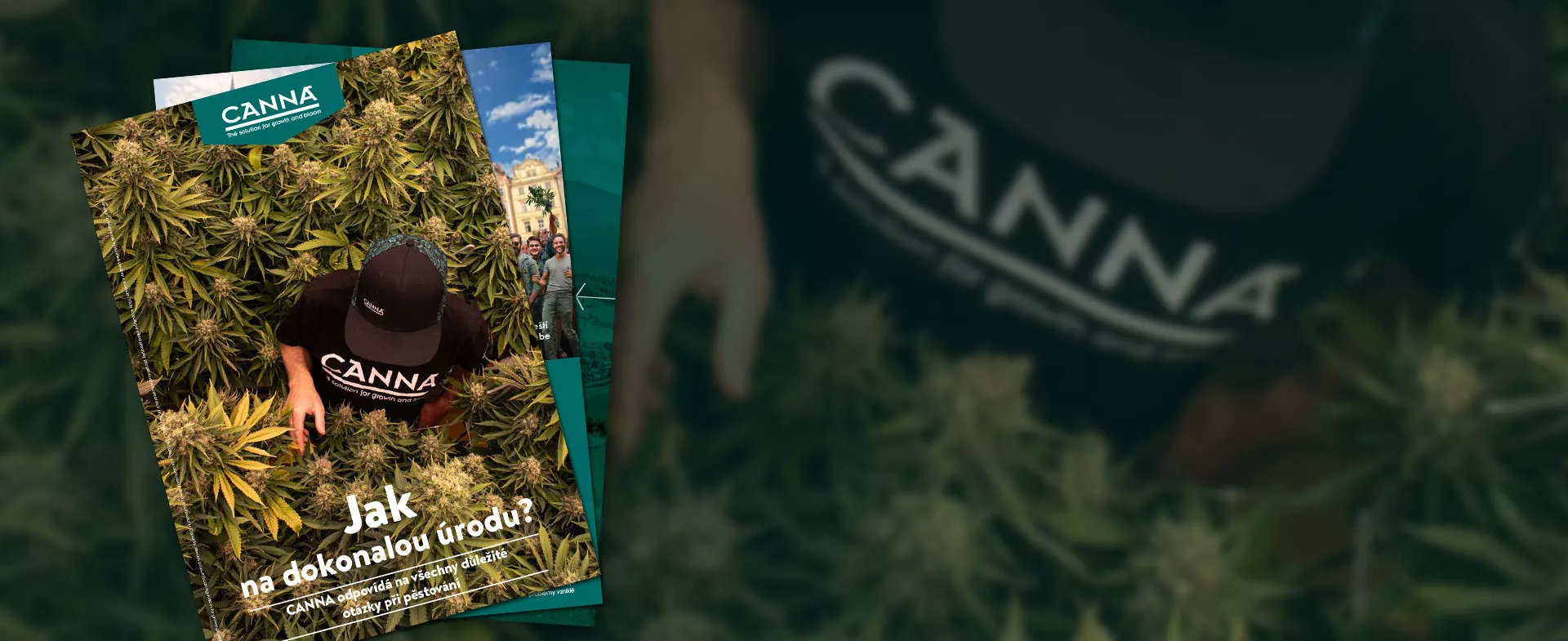CANNA grow-how pro dokonalou úrodu