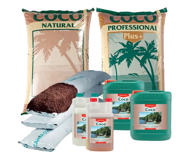 CANNA COCO