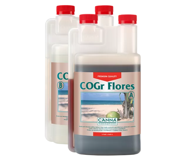 CANNA COGr Flores