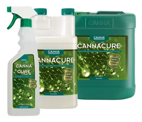 CANNACURE