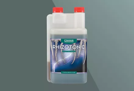 CANNA RHIZOTONIC