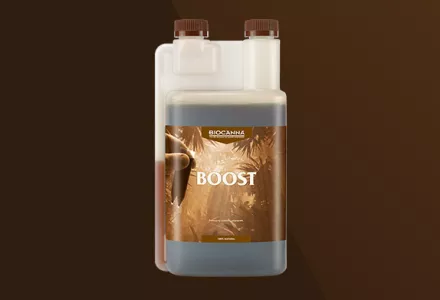 BIOCANNA BOOST