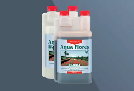 CANNA Aqua Flores