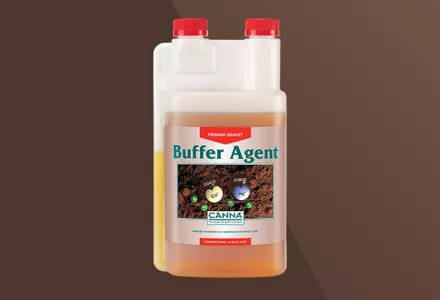 CANNA COGr Buffer Agent