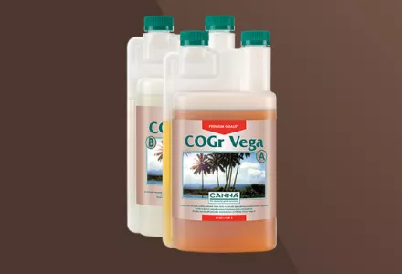 CANNA COGr Vega