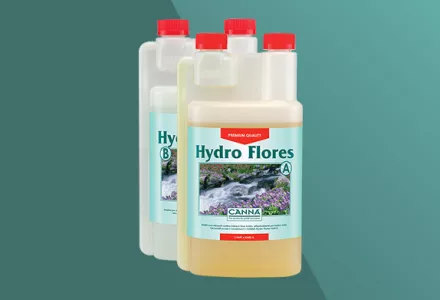 CANNA Hydro Flores