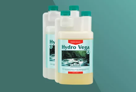 CANNA Hydro Vega