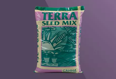 CANNA Terra Seed Mix