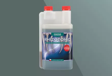CANNA RHIZOTONIC