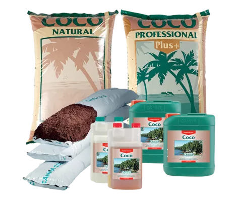 CANNA COCO