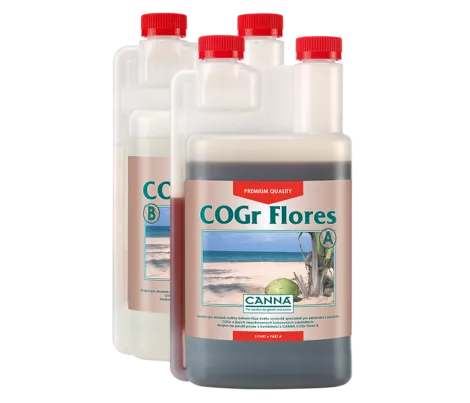 CANNA COGr Flores