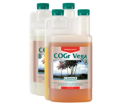 CANNA COGr Vega